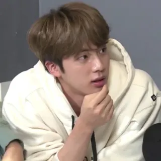 🦚 a8d138d4 Jin Jin, BTS, K-pop, cantor, moletom com capuz whatsapp sticker