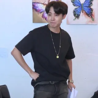 🦚 c2fcfa54 whatsapp sticker