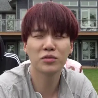 🦚 d3b7d10d whatsapp sticker