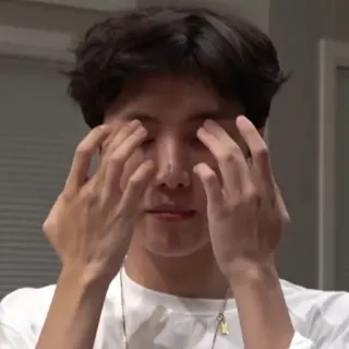 🦚 d7695977 whatsapp sticker