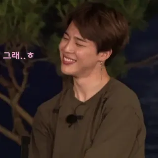 🐟 2c55f04b 그래.. ㅎ persoon, koreaans, glimlachend, vrolijk telegram sticker