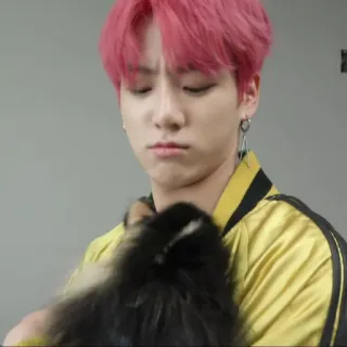 🐟 8a2bfeb2 persoon, hond, portret telegram sticker