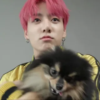 🐟 cdc02487 Jungkook kpop, hond, persoon, beroemdheid, zanger telegram sticker