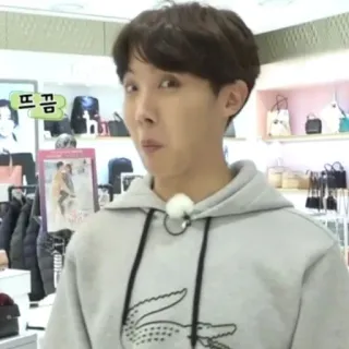 🐟 e3e254f1 푸꾱 kpop, jhope, bts, meme, grappig, lacoste telegram sticker