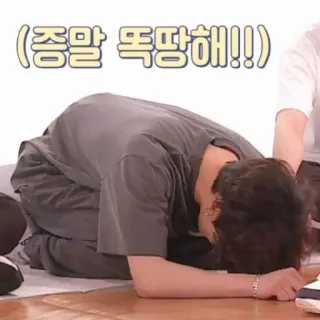 🐰 8e37acc5 정말 똑땅해!! membungkuk, korea, sedih, maaf telegram sticker