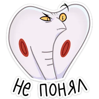 🤨 8df0656d НЕ ПОНЯЛ serpente, cobra, cartone animato, arrabbiato, confuso, domanda whatsapp sticker