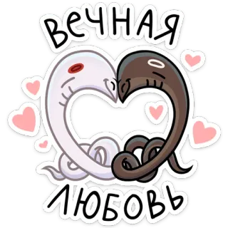 ❤️ fdccbb1b ВЕЧНАЯ ЛЮБОВЬ amore, eterno, cuore, serpenti, per sempre, romantico whatsapp sticker