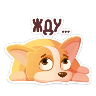😑 45f90a5b Жду... 개, 코기, 기다림, 귀여운, 슬픈 telegram sticker