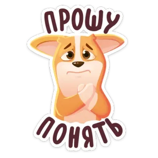 😒 820d824d ПРОШУ ПОНЯТЬ 코기, 구걸, 귀여운, 개, 제발, 슬픈 telegram sticker