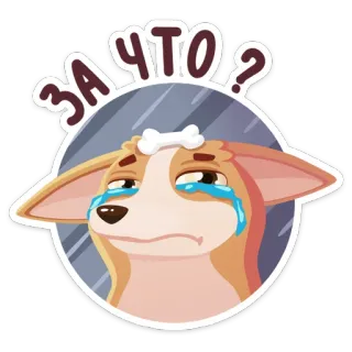 😢 ff7a9c37 ЗА ЧТО? 개, 울음, 슬픈, 러시아어, 스티커, 만화 강아지, 뼈, 질문 telegram sticker
