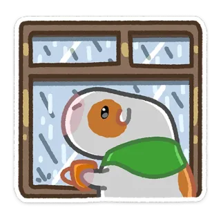☔️ 9ea97ead marmut, jendela, hujan, imut, nyaman, minuman, hewan, stiker whatsapp sticker