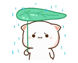 🌧 6027b872 gato, lluvia, hoja, triste, lindo, animal telegram sticker