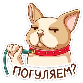 😤 01461f77 погуляем? 犬, 散歩, 質問, 可愛い, ペット telegram sticker