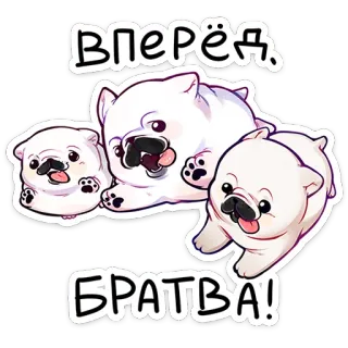 ⭐ 3602f52b Вперёд, БРАТВА! anjing, anak anjing, pug, kartun, lucu, stiker, imut whatsapp sticker
