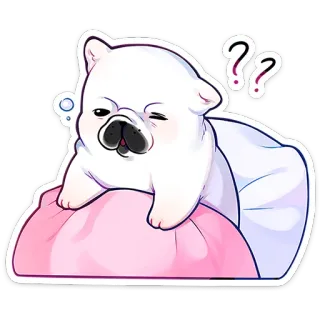 ⭐ 39603c7c anjing, tanda tanya, imut, hewan, stiker, anjing putih, bingung whatsapp sticker