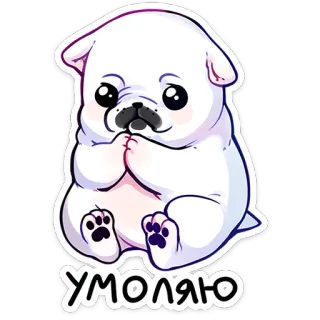 ⭐ 71354fa0 УМОЛЯЮ anjing, anak anjing, lucu, memohon, mengemis, kartun whatsapp sticker