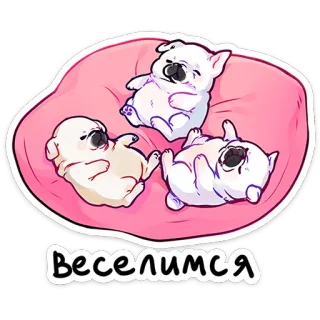 ⭐ 74dad34a Веселимся anjing, anak anjing, lucu, hewan, seru, ceria whatsapp sticker