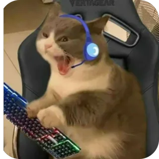 🫥 99cffafd 猫, 游戏, 玩家, 键盘, 耳机, 搞笑 telegram sticker
