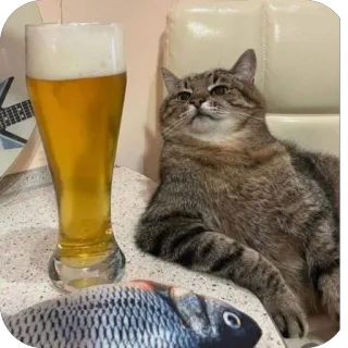 🫥 c5c5a7d3 猫, 啤酒, 鱼, 动物, 宠物, 酒精, 幽默, 搞笑 telegram sticker