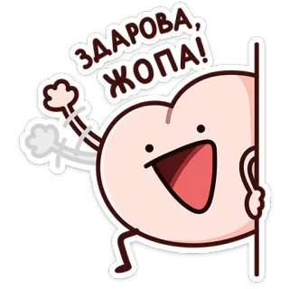 ⭐ c8a257f8 ЗДАРОВА, ЖОПА! saluto, cartone animato, russo, slang, sedere, sfacciato, insulto telegram sticker
