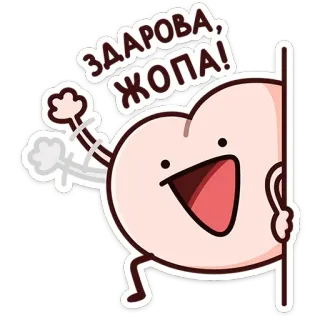 👋 7ce4b115 ЗДАРОВА, ЖОПА! obraźliwe, slang, kreskówka, powitanie telegram sticker