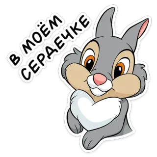 Зайки (@TgSticker) telegram stickers