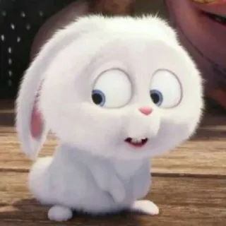 🐰 9ea4107a Snowball The Secret Life of Pets królik, zajączek, biały, słodki, zwierzę, zwierzę domowe, puszysty whatsapp sticker