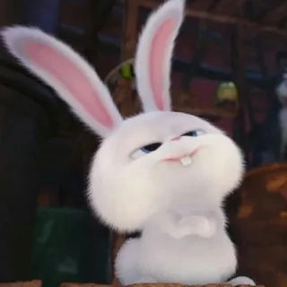 🐰 c888013a Snowball The Secret Life of Pets królik, zajączek, śnieżka, Sekretne życie zwierzaków domowych, kreskówka whatsapp sticker