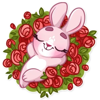 🌹 eec04203 кролик, зайчик, милый, каваий, розы, цветы telegram sticker