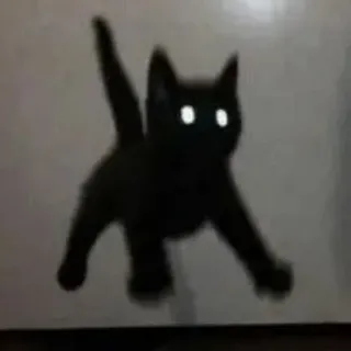 😧 503df09f Katze, schwarze Katze, Tier, Augen, Aufkleber telegram sticker