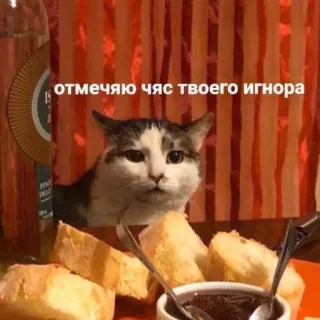 🎂 7d4e5ed4 отмечаю час твоего игнора Katze, Meme, Humor, Ignorieren, Russisch, Essen telegram sticker