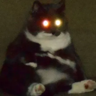 👻 b6575bb2 Katze, Augen, Tier, Dunkel, Gruselig, Meme telegram sticker