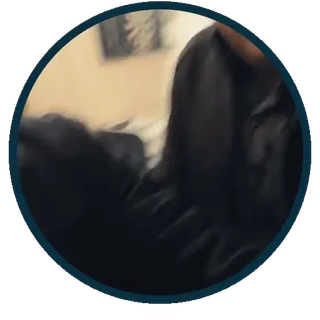 🤫 3fb7da3d whatsapp sticker