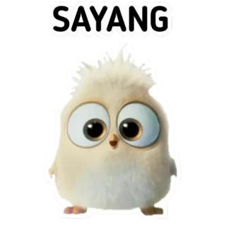 🙃 35bf77ee SAYANG vogel, süß, tier, liebe, zuneigung, gruß whatsapp sticker