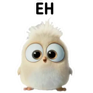 🙃 fdd441f4 EH vogel, süß, öh, aufkleber, cartoon whatsapp sticker