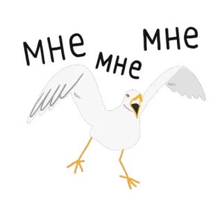 🤜 81c1c9b2 мне мне bird, seagull, russian, flying whatsapp sticker