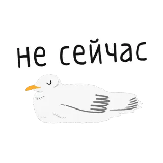 😴 9bca22ab не сейчас bird, seagull, no, not now whatsapp sticker