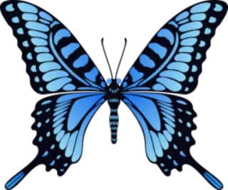 π 3b758502 butterfly, blue, insect, wings, nature, beautiful telegram sticker
