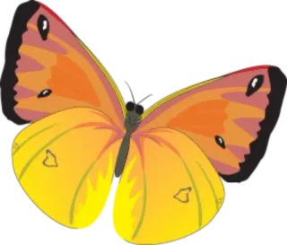 π 9dc0a7db butterfly, insect, yellow, orange, nature telegram sticker