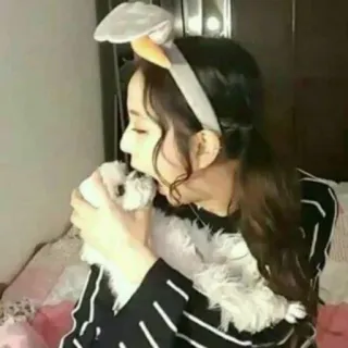 🐶 68fe0979 dog, woman, pet, ears, cute, girl, animal telegram sticker