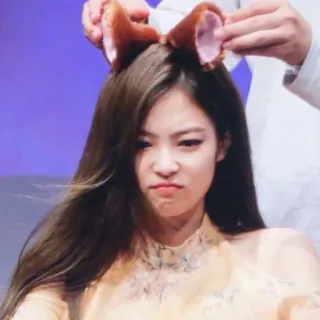 😾 71b580d9 person, woman, ears, cute, indoor telegram sticker