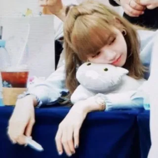 ☹️ d4bf3e56 person, woman, cat, plush, resting, bored telegram sticker