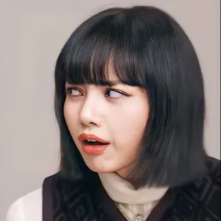 😟 db8a4c2b Lisa woman, kpop, singer, portrait, black hair, bangs telegram sticker