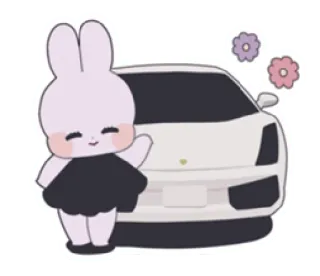 🎀 d3c25986 coniglio, auto, carino, fiori, kawaii, adesivo, cartone animato telegram sticker