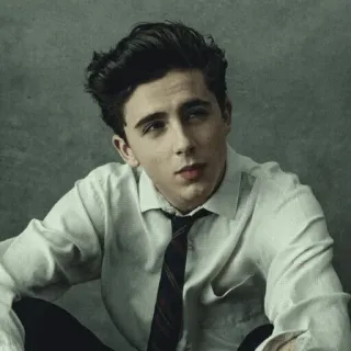 😒 08699346 Timothée Chalamet Schauspieler, Promi, Porträt, Mann, Krawatte whatsapp sticker