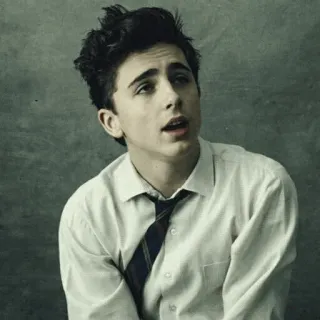 😦 1a80a0db Timothée Chalamet Schauspieler, Promi, Porträt, Mann, Krawatte, Formal whatsapp sticker