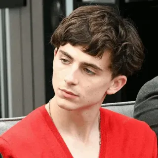 😕 3b104440 Timothée Chalamet Schauspieler, Promi, Porträt, Mann, rotes Hemd, Timothée Chalamet, Person whatsapp sticker
