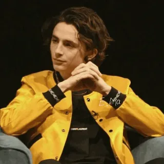 😐 3b7b142d Timothée Chalamet Promi, Schauspieler, Person, Porträt, Mann, Filmstar whatsapp sticker