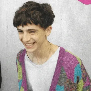 😁 75bdf058 timothee chalamet, schauspieler, porträt, promi, lächeln, strickjacke whatsapp sticker