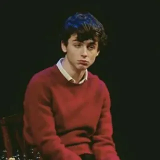 😐 7ea00097 Schauspieler, Porträt, Timothée Chalamet, roter Pullover, Promi, traurig, Schmollmund whatsapp sticker